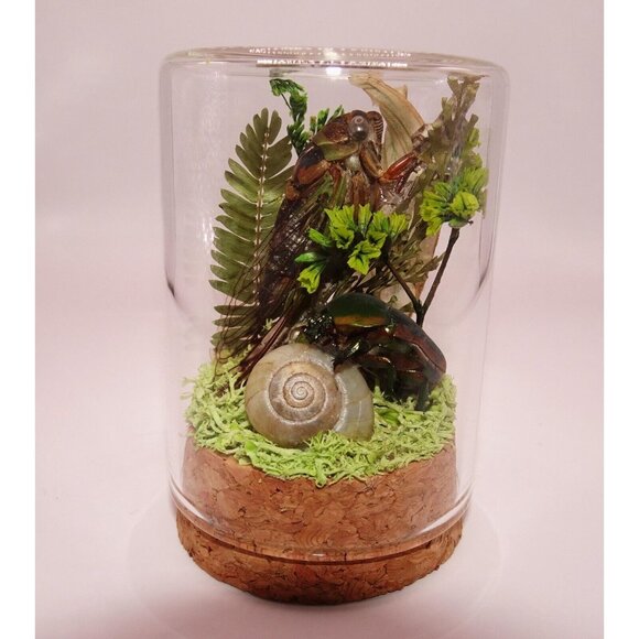 Cicada June Bug Snail Shell Luna Moth Wing Dried Flowers Oddity Jar taxidermy - Picture 1 of 14